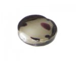 34mm Silver Dot Flat Round Lampwork Glass Pendant 34mm Silver Dot Flat Round Lampwork Glass Pendant