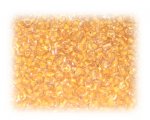 11/0 Apricot Inside-Color Glass Seed Beads, 1 oz. bag 11/0 Apricot Inside-Color Glass Seed Beads, 1 oz. bag