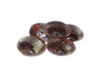 20mm Golden Brown Handmade Lampwork Glass Bead, 5 beads 20mm Golden Brown Handmade Lampwork Glass Bead, 5 beads