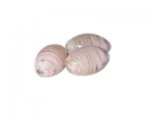 26 x 16mm Pink Oval Glass Lampwork Bead, 3 beads 26 x 16mm Pink Oval Glass Lampwork Bead, 3 beads