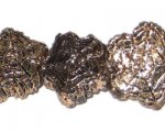 24mm Copper NatureLine Bead, 7 beads 24mm Copper NatureLine Bead, 7 beads