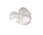 28 x 18mm Pink / White Twirl Lampwork Bead, 4 beads 28 x 18mm Pink / White Twirl Lampwork Bead, 4 beads