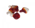 20 x 16mm Red/Crystal Twirl Lampwork Glass Bead, 5 beads 20 x 16mm Red/Crystal Twirl Lampwork Glass Bead, 5 beads