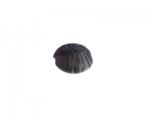 24mm Brown Pattern Lampwork Glass Bead 24mm Brown Pattern Lampwork Glass Bead