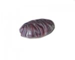36 x 24mm Purple Oval Handmade Lampwork Glass Bead 36 x 24mm Purple Oval Handmade Lampwork Glass Bead