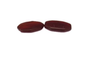 (image for) 24 x 18mm Carnelian Gemstone Bead, 2 beads