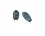 32 x 12mm Turquoise Spiral Lampwork Bead, 2 beads 32 x 12mm Turquoise Spiral Lampwork Bead, 2 beads