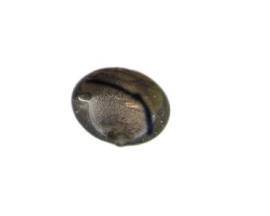 (image for) 28mm Silver Pattern Lampwork Glass Bead