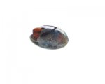 32 x 24mm Brown Pattern Lampwork Glass Bead 32 x 24mm Brown Pattern Lampwork Glass Bead