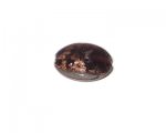 28mm Purple Foil Handmade Lampwork Glass Bead 28mm Purple Foil Handmade Lampwork Glass Bead