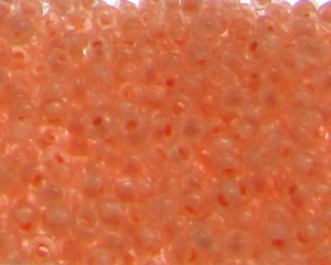 (image for) 11/0 Apricot inside-Color Glass Seed Beads, 1oz. bag