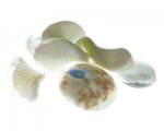 Approx. 2oz. White Handmade Lampwork Glass Bead Mix Approx. 2oz. White Handmade Lampwork Glass Bead Mix
