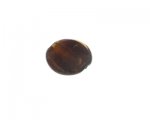 24mm Golden Brown Foil Lampwork Glass Bead 24mm Golden Brown Foil Lampwork Glass Bead