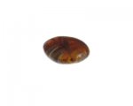 24mm Dark Brown Pattern Lampwork Glass Bead 24mm Dark Brown Pattern Lampwork Glass Bead