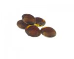 20mm Brown Foil Lampwork Glass Bead, 5 beads 20mm Brown Foil Lampwork Glass Bead, 5 beads