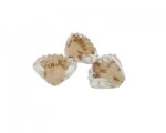 26 x 18mm White Foil Lampwork Shell Glass Bead, 3 beads 26 x 18mm White Foil Lampwork Shell Glass Bead, 3 beads