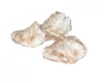 30 x 24mm White Foil Leaf Pattern Lampwork Bead, 3 beads 30 x 24mm White Foil Leaf Pattern Lampwork Bead, 3 beads