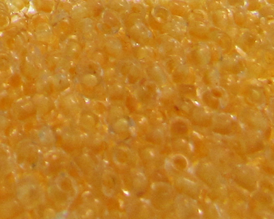 (image for) 11/0 Sun Yellow Inside-Color Glass Seed Beads, 1oz. bag - Click Image to Close