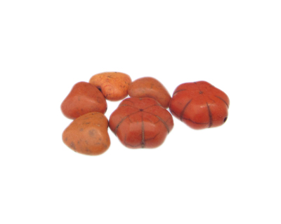 Orange Dyed Turquoise Heart/Flower Bead Mix, 6 beads